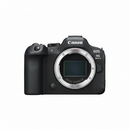 Canon EOS R6 Mark II Mirrorless Body - Vista Frontal