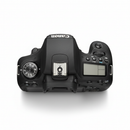 Canon EOS Rebel T8i DSLR Body - Vista Superior